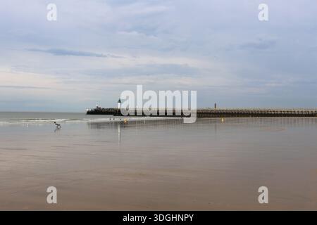 La jetée de Calais et le phare de Calais sur la Manche, ville de Calais, département du Pas de Calais, Francia Foto Stock