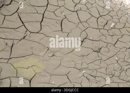Uno sfondo astratto di terra secca e incrinata. Il fango arroccato crea un bellissimo motivo a mosaico dal caldo intenso e dalla siccità. Un concetto di clima Foto Stock