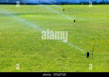 Un campo erboso con più sprinkler che spruzzano attivamente acqua. Gli sprinkler sono posizionati a intervalli in tutto il campo e l'acqua viene erogata Foto Stock