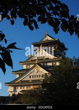 Castello di Osaka circondato da alberi durante una giornata di cielo azzurro, Osaka, Giappone Foto Stock