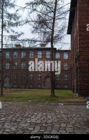 Lo storico cortile di Katowice, Polonia, si trova tra tende in mattoni rossi, finestre ad arco, ciottoli, alberi senza foglie, cortile erboso, cielo coperto, presto spp Foto Stock