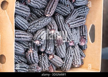 Corn per bevanda di mais viola, cucina andina peruviana. Foto Stock