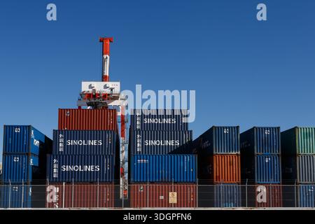 Una gru portacontainer vista sopra i container impilati in un molo sulla baia di Tokyo. Tokyo, Giappone. Foto Stock