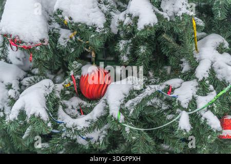 Innevato sempreverde con palloncino rosso annidato sotto la neve fresca, luci a corda a LED che si illuminano dolcemente, texture ravvicinata di aghi, atmosfera fredda, muto Foto Stock