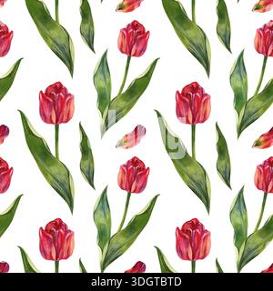 Romantico sfondo floreale senza cuciture con tulipani rossi, ideale per la festa della mamma, San Valentino e le vacanze primaverili. Elegante ripetizione ad acquerello Foto Stock