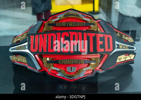 Cintura WWE Universal Championship indiscussa. Kiev, Ucraina - 6 gennaio 2026 Foto Stock
