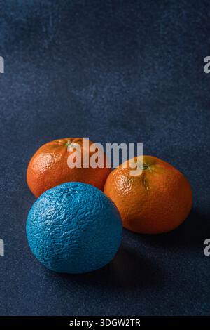 Tre tangerini sono posizionati su una superficie a trama scura. Due sono di colore arancione naturale, mentre uno è di colore blu Foto Stock