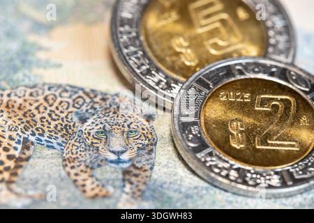 Soldi del Messico. Monete da 2 e 5 dollari e una banconota da 1000 pesos. Concetto finanziario e aziendale. Primo piano Foto Stock