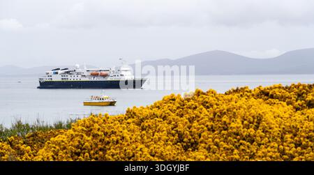L'esploratore del National Geographic ancorò sulle rive dell'isola Carcass nelle Falkland Foto Stock