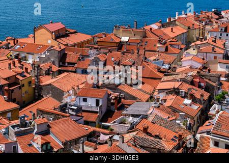 Primo piano elevato di case densamente affollate con tradizionali tetti di tegole rosse e camini sulla costa adriatica. Foto Stock