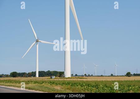 Alte turbine eoliche bianche in un terreno agricolo aperto sotto un cielo azzurro Foto Stock