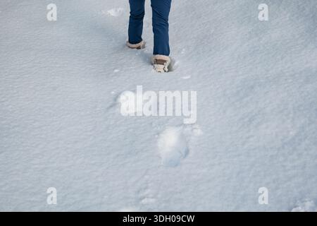 Gambe e stivali femminili che camminano attraverso la neve fresca e profonda, lasciando dietro una scia di impronte chiare in una foresta. Vista dall'alto verso il basso, persona irriconoscibile, Foto Stock
