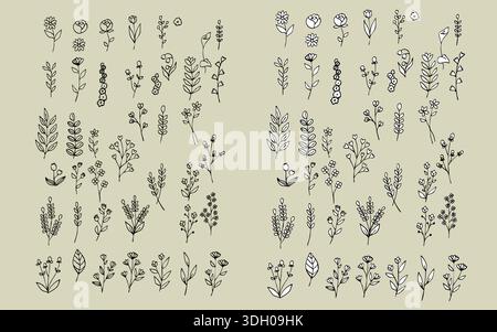 Un set di parti di piante disegnate a mano. L'illustrazione di destra ha uno sfondo bianco, mentre quella di sinistra è trasparente per un utilizzo versatile. Illustrazione Vettoriale