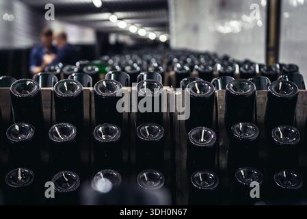 Bottiglie di spumante durante la fase di produzione del metodo chiamato riddling nella famosa cantina della città di Cricova, Moldowa Foto Stock