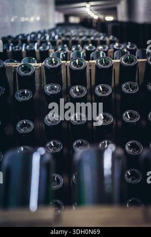 Rastrelliere con bottiglie di vino durante il processo di produzione riddling nella famosa cantina Cricova nella città di Cricova vicino a Chisinau, capitale della Moldavia Foto Stock