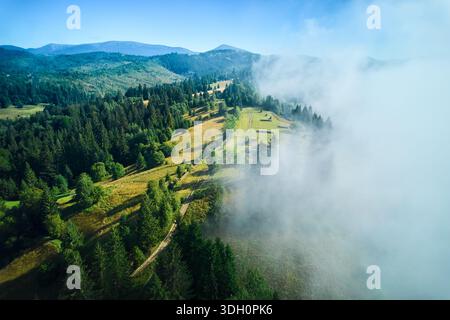 Splendida vista aerea del paesaggio montano ricoperto da vegetazione lussureggiante e alberi torreggianti. La nebbia oscura parzialmente la scena e aggiunge una qualità eterea e onirica. Foto Stock