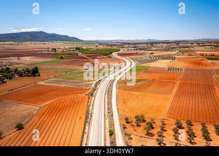 Veduta aerea della strada aperta che attraversa i campi di ulivi rossi e arancioni nel paesaggio rurale di Alpera, Spagna Foto Stock