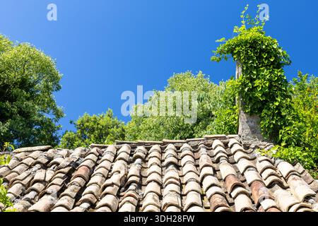 Tetto rustico in piastrelle di argilla ombreggiato da edera e vegetazione arrampicate, con un camino alto e un cielo blu vibrante, che creano una tranquilla scena architettonica all'aperto Foto Stock