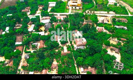 Veduta aerea delle case annidate in un verde verde, dove i tetti in terracotta contrastano con il baldacchino smeraldo, Ahoada, Rivers State, Nigeria. Foto Stock