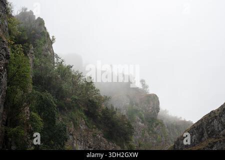 La pioggia cade sulle scogliere di Cheddar Gorge nelle Mendip Hills di Somerset, Inghilterra. Foto Stock