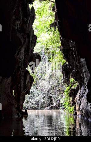 Apertura grotta con lussureggiante vegetazione tropicale, Cuba Foto Stock