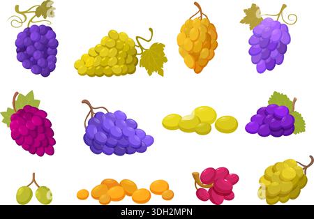 Grappoli d'uva cartoni animati. Uva con foglie, bacche mature in vigna rosso viola verde. Frutta fresca dolce naturale, dessert e produzione di vino, sapido Illustrazione Vettoriale
