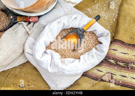 Grano in sacchetti di tela per ulteriore lavorazione in farina, primo piano. Rifornimenti alimentari. Raccolto. Prodotto agricolo Foto Stock