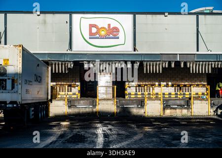 Centro di distribuzione Dole e banchine di carico per magazzini a Dublino, Irlanda. Impianto industriale con autocarri e infrastrutture logistiche per f Foto Stock