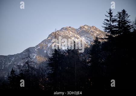 La luce dorata della sera cade su una cima scalpellata sopra Ruhpolding nelle Alpi Chiemgau. La pietra calcarea spolverata di neve si innalza bruscamente dalla foresta ombreggiata, Foto Stock