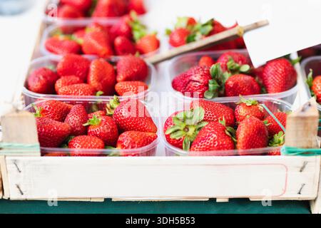 Le fragole di colore rosso brillante in contenitori di plastica trasparente poggiano su una cassa di legno. La frutta vibrante è fresca e matura, pronta per essere gustata. Lo sfondo i Foto Stock