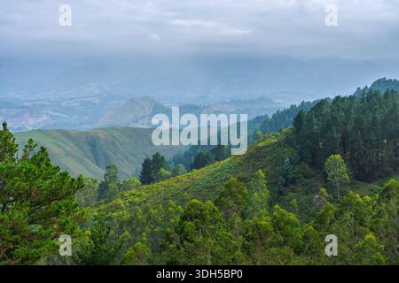 Una vista pittoresca di un lussureggiante paesaggio forestale in primavera, caratterizzato da un vivace fogliame verde e colline ondulate sotto un cielo dolce e nuvoloso. Ideale per il natur Foto Stock
