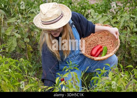 Una donna che indossa tute e un cappello di paglia sta raccogliendo verdure fresche dal suo lussureggiante giardino, tenendo un cesto di vimini con peperoni vivaci, circondato da Foto Stock