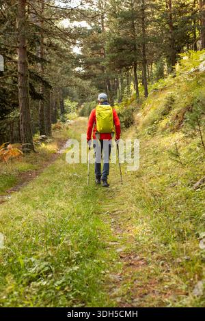 Un escursionista solitario che indossa uno zaino luminoso e che utilizza i bastoncini da trekking cammina lungo un lussureggiante e tranquillo sentiero nella foresta. La luce del sole filtra attraverso alberi alti, cre Foto Stock