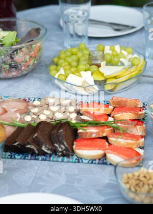 Sandwich assortiti, salmone, pane nero, insalata, frutta e formaggio su tovaglia bianca all'aperto picnic Gathering Foto Stock
