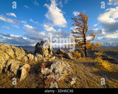 La luce dorata bagna rocce aspre e alberi solitari nel paesaggio alpino. Le montagne innevate si stagliano all'orizzonte sotto il cielo azzurro con nuvole. La natura selvaggia e tranquilla invita a esplorare. Foto Stock
