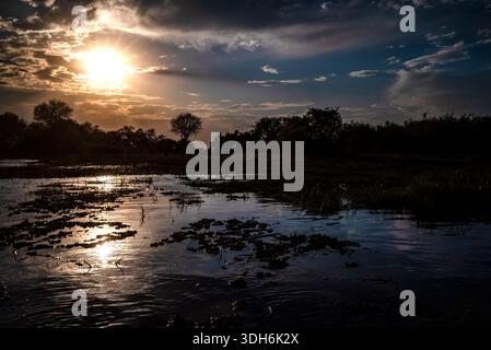 Tramonto sul Delta dell'Okavango durante l'ora blu, con riflessi sull'acqua e alberi sagomati che creano una scena tranquilla e pittoresca. Foto Stock