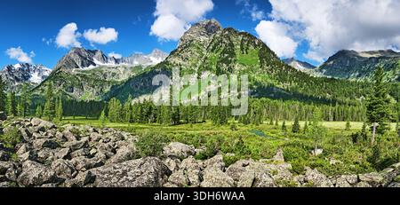Panorama montano sulla splendida valle dei monti Altai Foto Stock