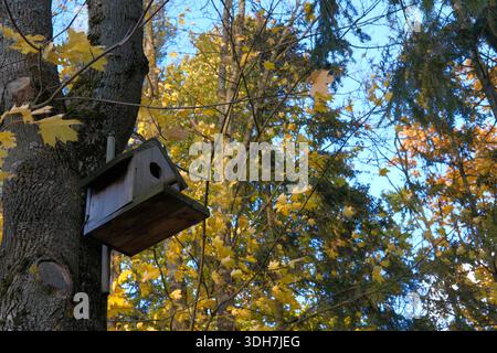 Casa degli uccelli appesa nella foresta autunnale. Cura degli uccelli in autunno o autunno e inverno. Decorazioni da giardino e cortile sul retro. Artigianato con bambini per aiutare gli animali Foto Stock