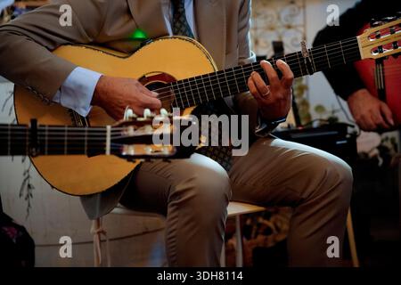 Musicista che suona la chitarra classica con altri strumenti in una band o orchestra Foto Stock
