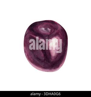 Singola ciliegia isolata su sfondo bianco, illustrazione ad acquerello con texture realistica, semplice elemento di frutta per confezionamento di alimenti, etichette, branding Foto Stock