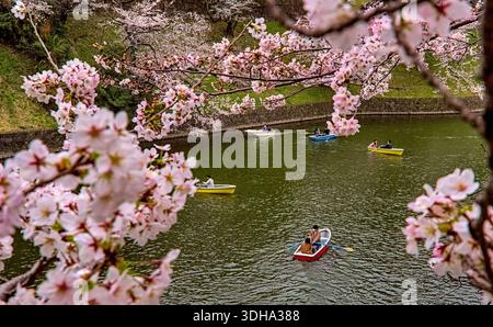 Tokyo, Giappone - marzo 27 2022: Vista nel tardo pomeriggio focalizzata su una delle numerose barche a remi nel fossato fuori dal Palazzo Imperiale di Tokyo du Foto Stock