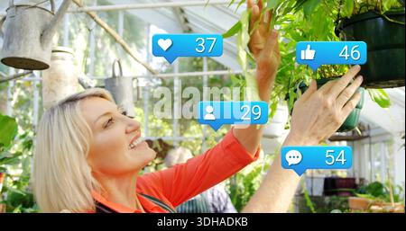 Raggiungere la donna che tende a stendere felce in serra, in camicia di corallo e grembiule verde, icone sociali Foto Stock