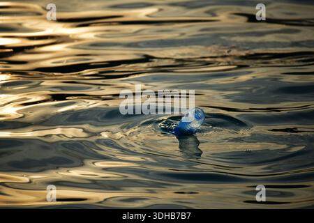 Bottiglia di plastica vuota che galleggia nell'oceano al tramonto. Concetto di inquinamento da plastica. Maldive Foto Stock