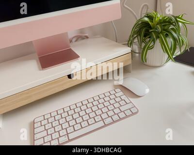 Foto di un'area di lavoro ordinata con un computer, accessori e una pianta in vaso sulla scrivania. Ideale per l'ufficio, il lavoro remoto, la produttività e la casa Foto Stock