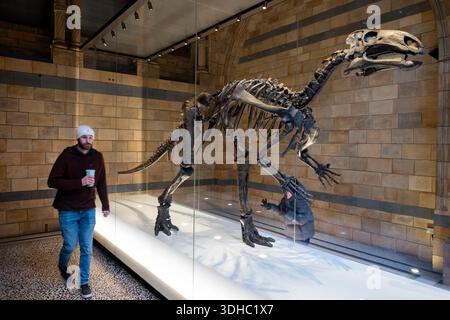 I visitatori interagiscono con Mantellisaurus Atherfieldensis o Iguanodon al Museo di storia naturale il 6 gennaio 2026 a Londra, Regno Unito. Il museo espone una vasta gamma di esemplari provenienti da vari segmenti di storia naturale. Il museo ospita esemplari di scienze della vita e della terra che comprendono circa 80 milioni di oggetti all'interno di cinque collezioni principali: Botanica, entomologia, mineralogia, paleontologia e zoologia. Il museo è un centro di ricerca specializzato in tassonomia, identificazione e conservazione. Foto Stock