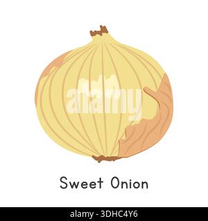 Illustrazione vettoriale del cartone animato piatto di cipolla dolce isolata su sfondo bianco. Dolce Cipolla Clipart Illustrazione Vettoriale