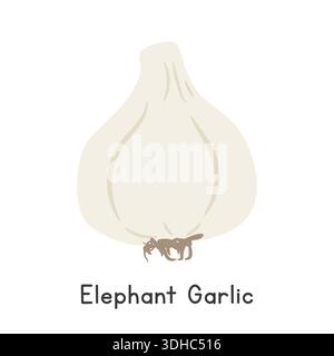 Illustrazione del vettore di cartone animato piatto all'aglio con elefante isolata su sfondo bianco Illustrazione Vettoriale