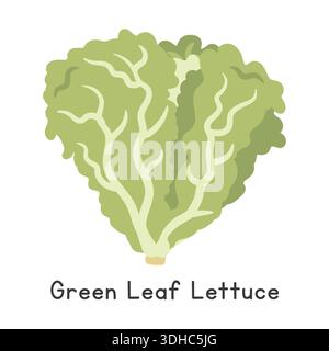 Illustrazione vettoriale piatto con lattuga a foglia verde. Lattuga Clipart Illustrazione Vettoriale