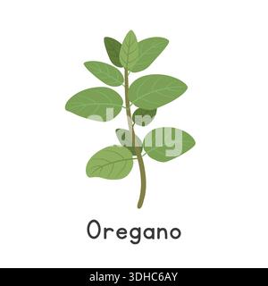 Illustrazione vettoriale in cartone animato piano in origano isolata su sfondo bianco. Oregano Clipart Illustrazione Vettoriale