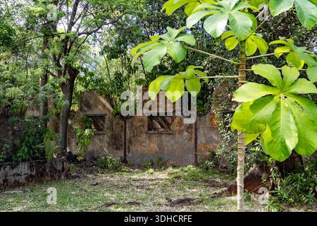 Francia, Guyana francese, Kourou, isole della salvezza, la doppia parete, l'edificio con struttura metallica era prefabbricato nella Francia continentale e spedito nella Guyana francese. Vestigia ricoperta di viti. Foto Stock